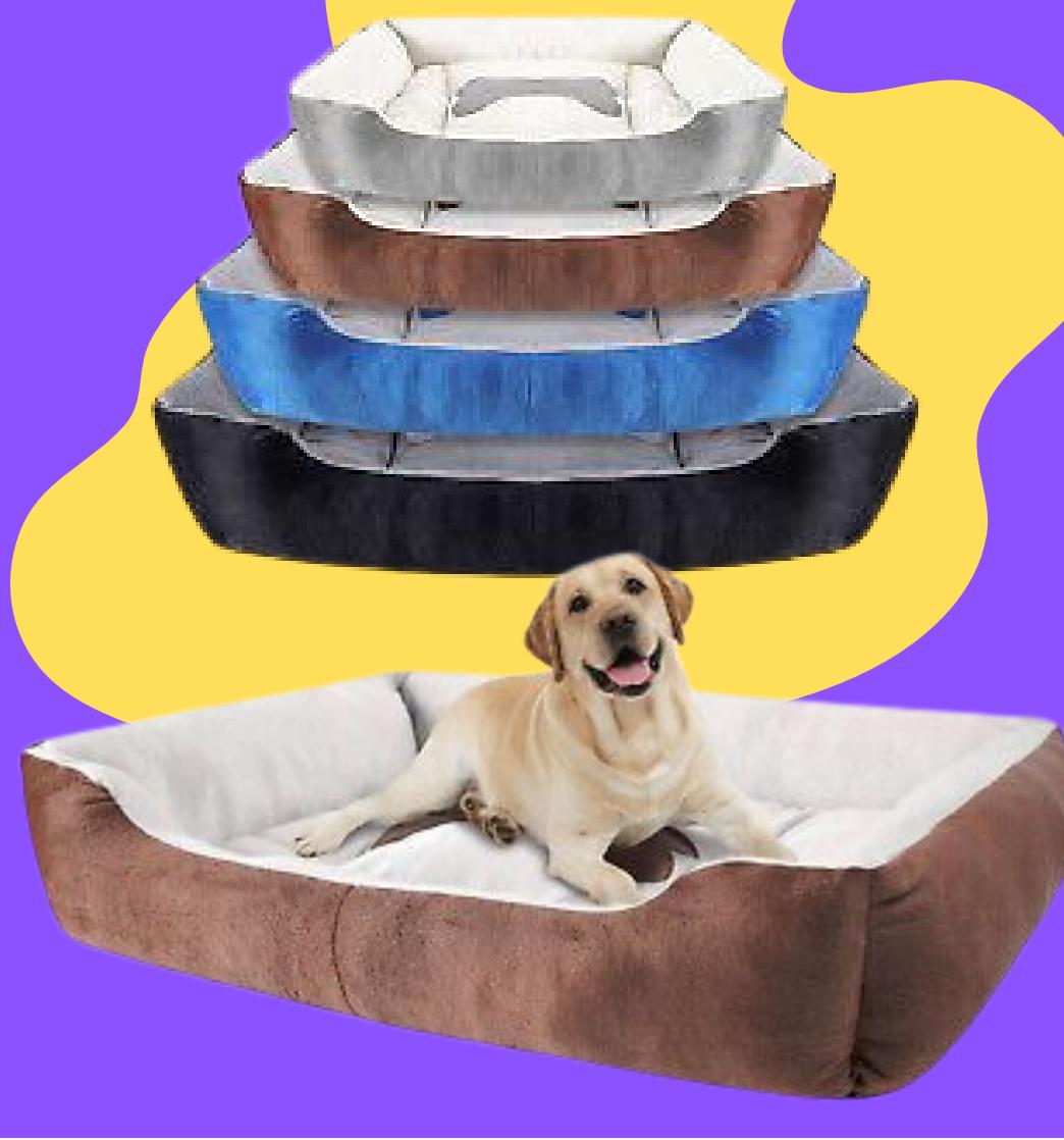 Cama sofa para perros